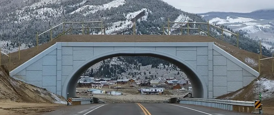 wildlife crossing in colorado